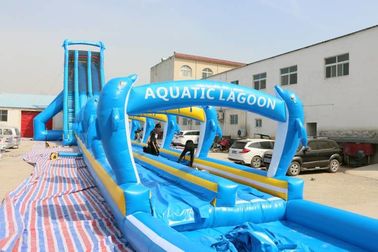 China Material grande del PVC del tobogán acuático WSS-277/0.55mm del delfín azul para los adultos fábrica