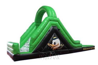 China Diapositiva inflable grande del color verde con estándar material del CE del PVC de la piscina WSS-247 fábrica